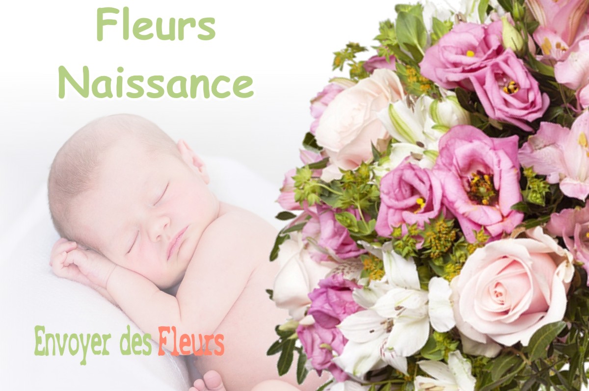 lIVRAISON FLEURS NAISSANCE à LE-SEN